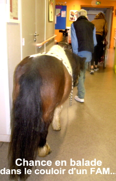 Chance dans le couloir d'un FAM